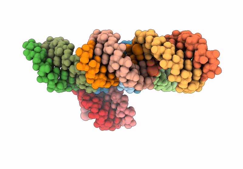 9Q3C image