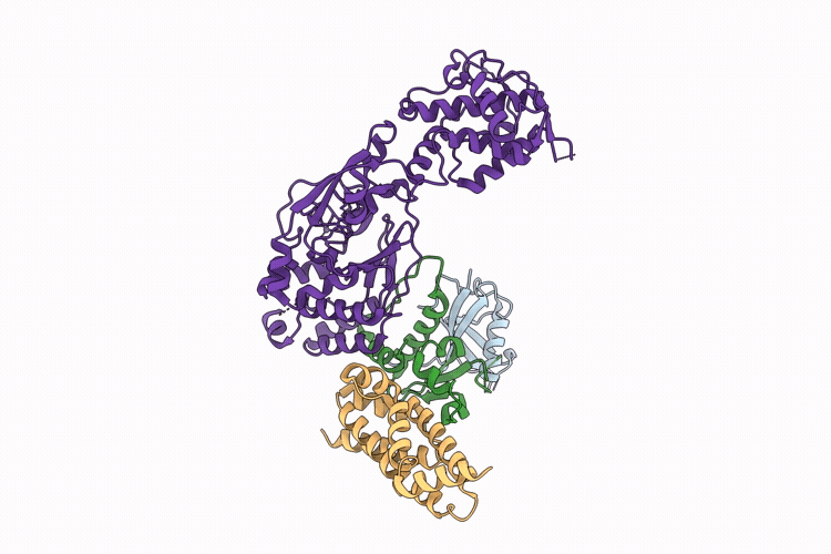 9Q3E image