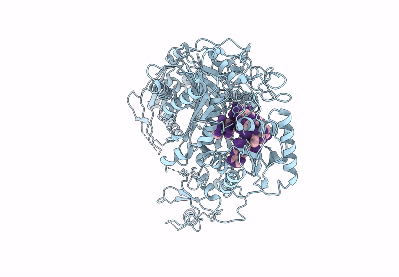9Q3F image