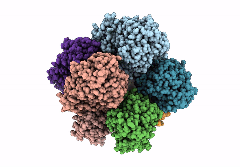 9Q3J image