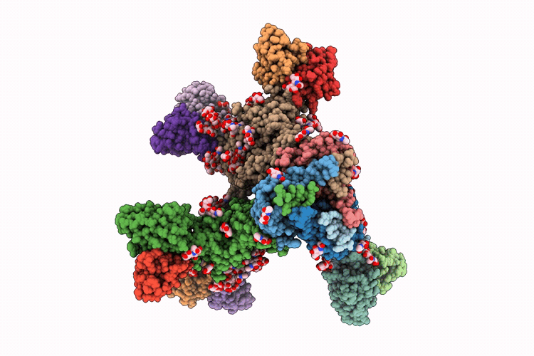 9Q3S image