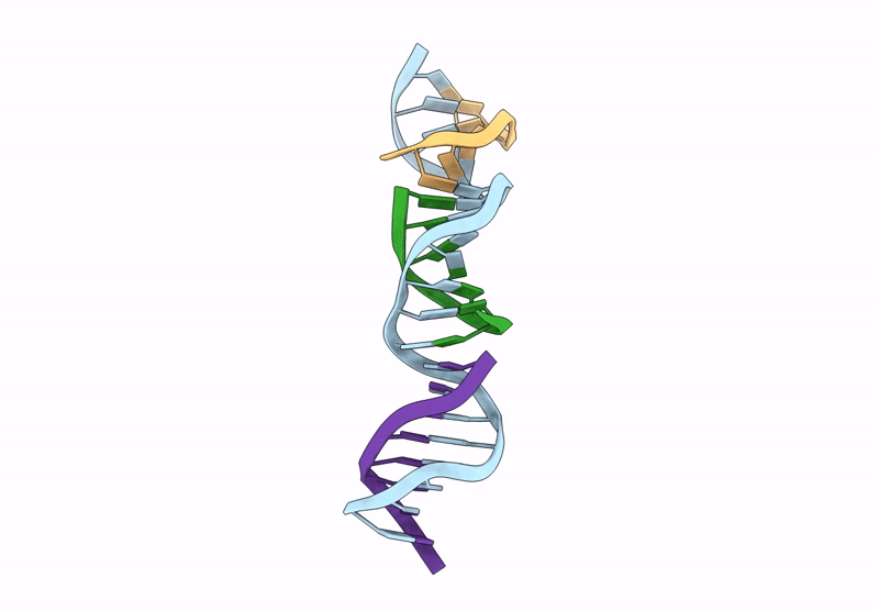 9Q3W image