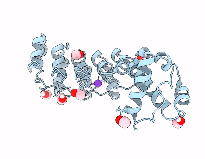 9Q4D image