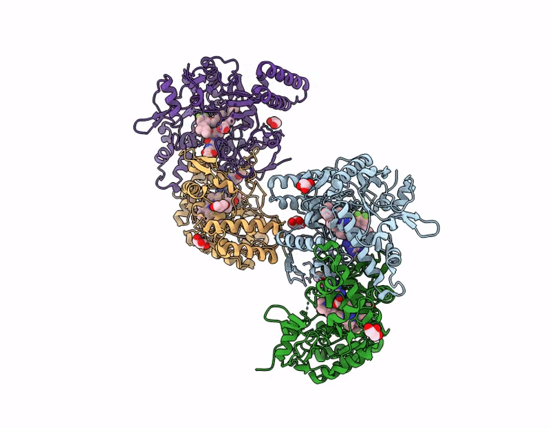 9Q4I image