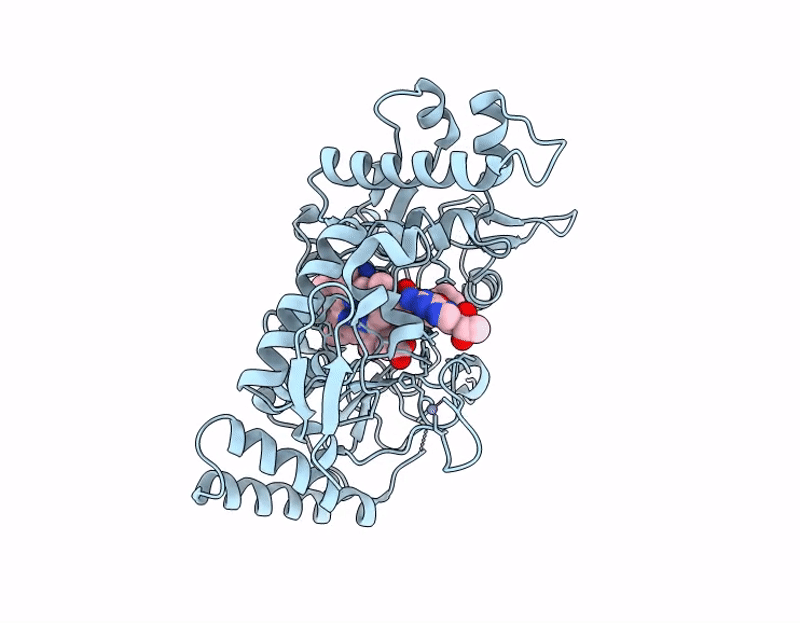 9Q4V image