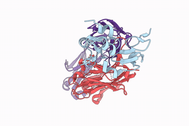 9Q5T image