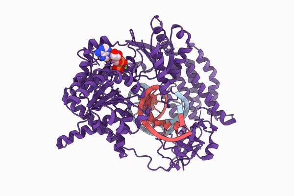 9Q60 image