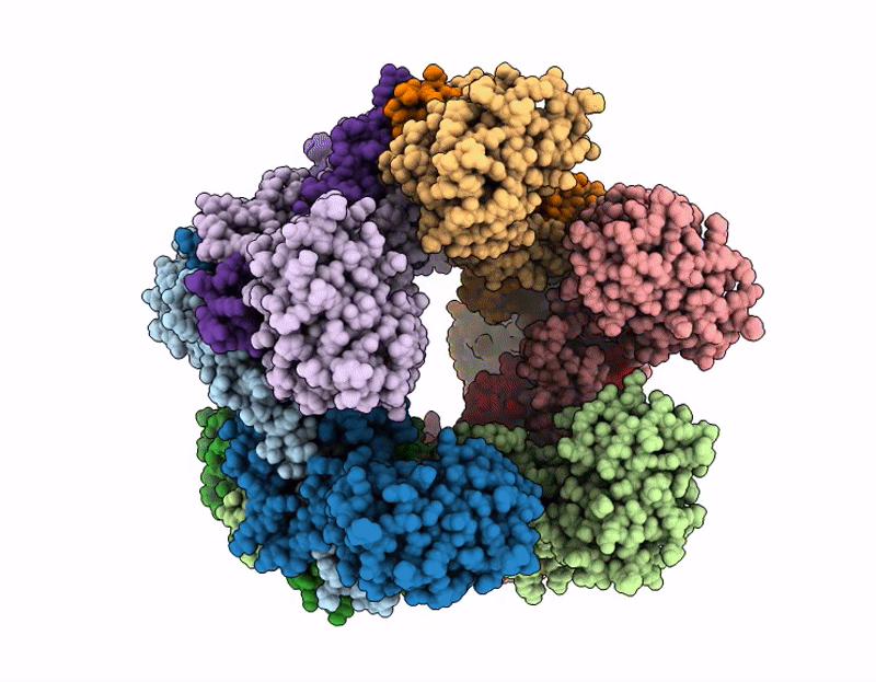 9Q6D image