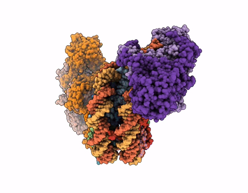 9Q80 image