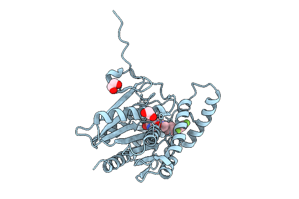 9Q8D image
