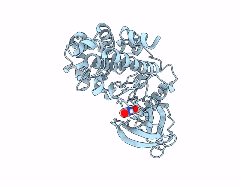 9Q8Q image