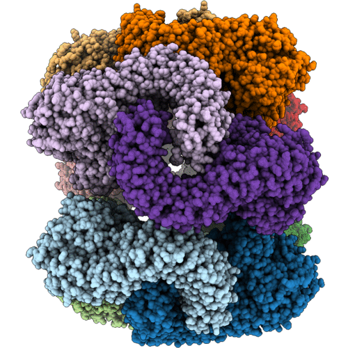 9Q8V image