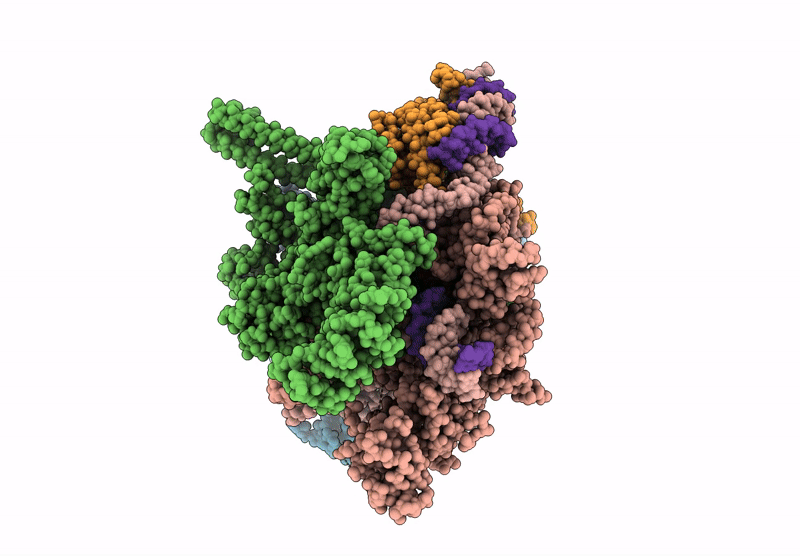 9Q96 image