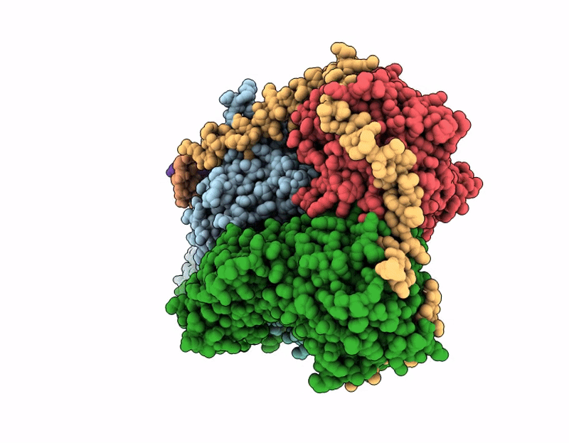 9Q9I image