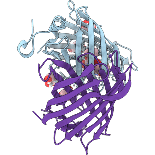 9Q9X image