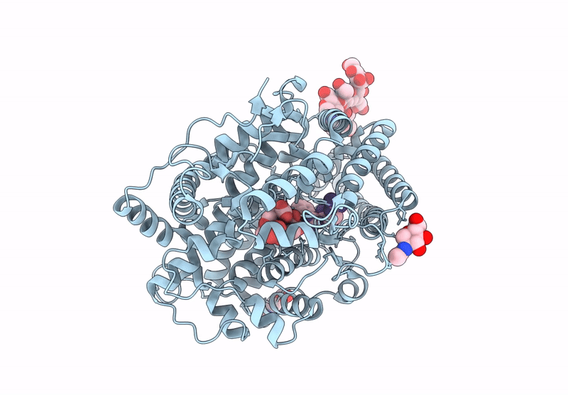 9QA2 image
