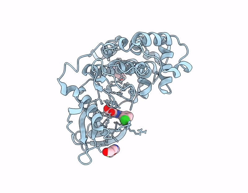 9QAB image