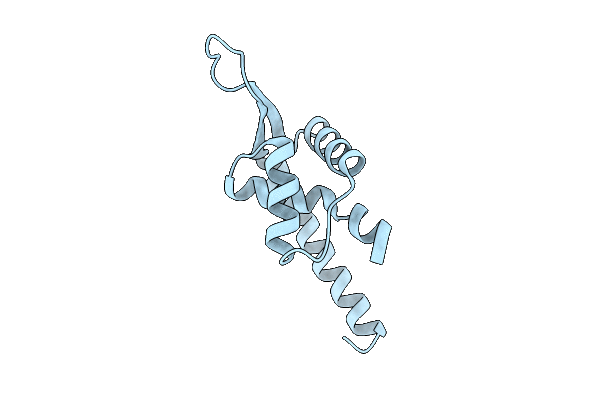 9QBC image