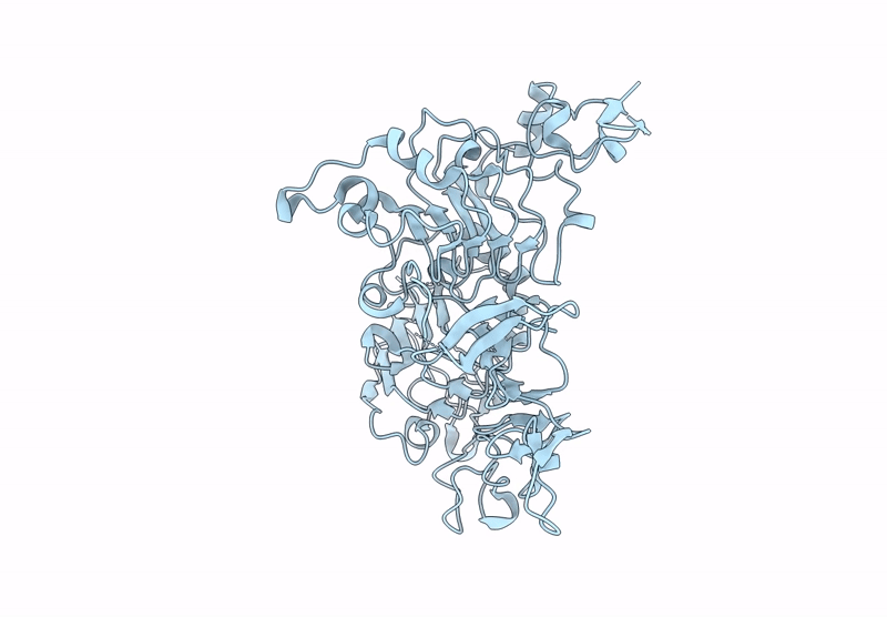9QBF image