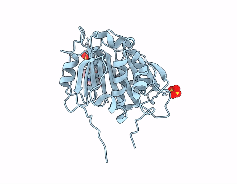 9QBN image