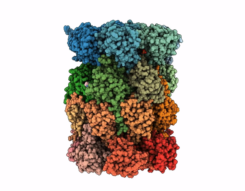 9QBO image