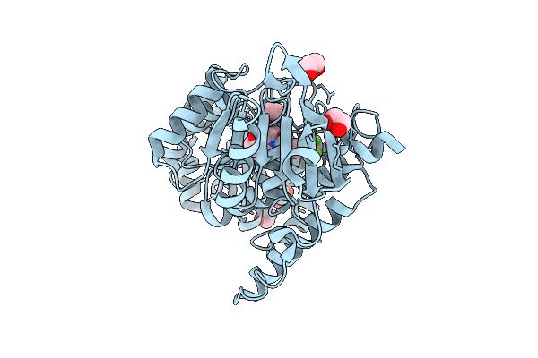 9QBV image
