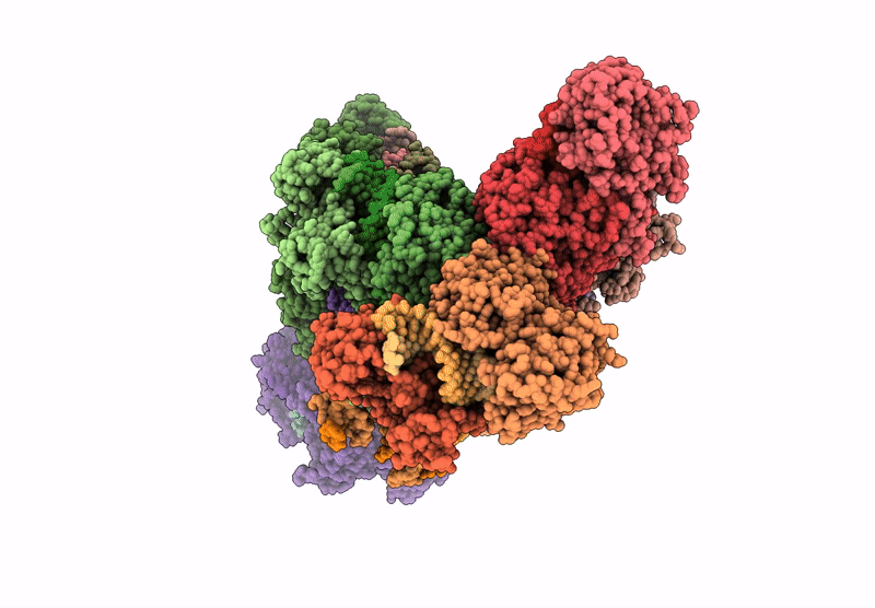 9QCC image