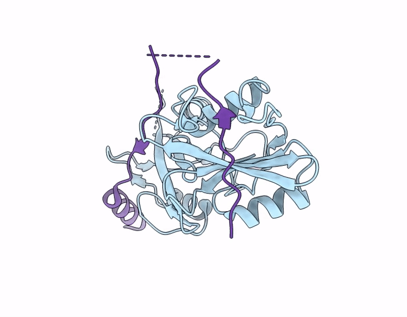 9QCD image