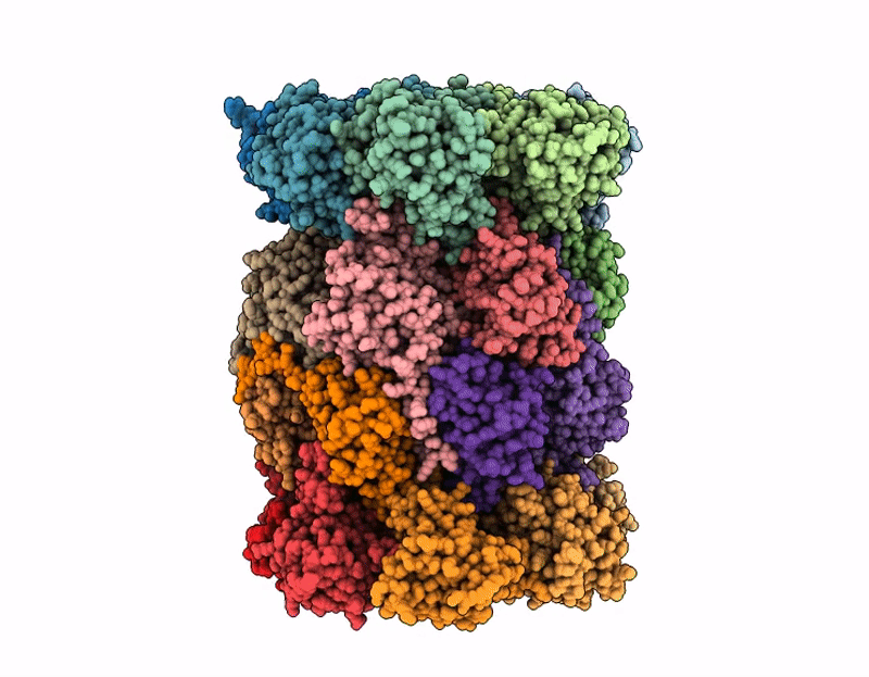 9QCK image