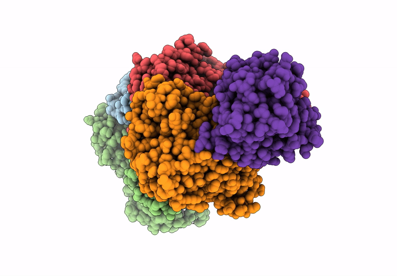 9QCV image
