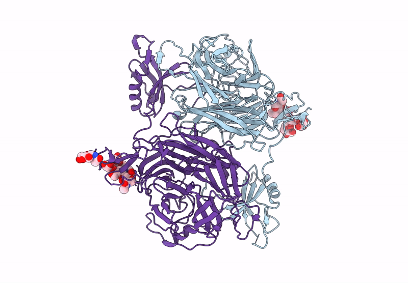 9QD0 image