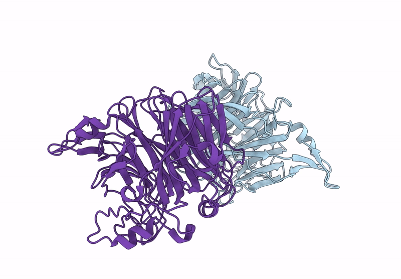 9QD1 image