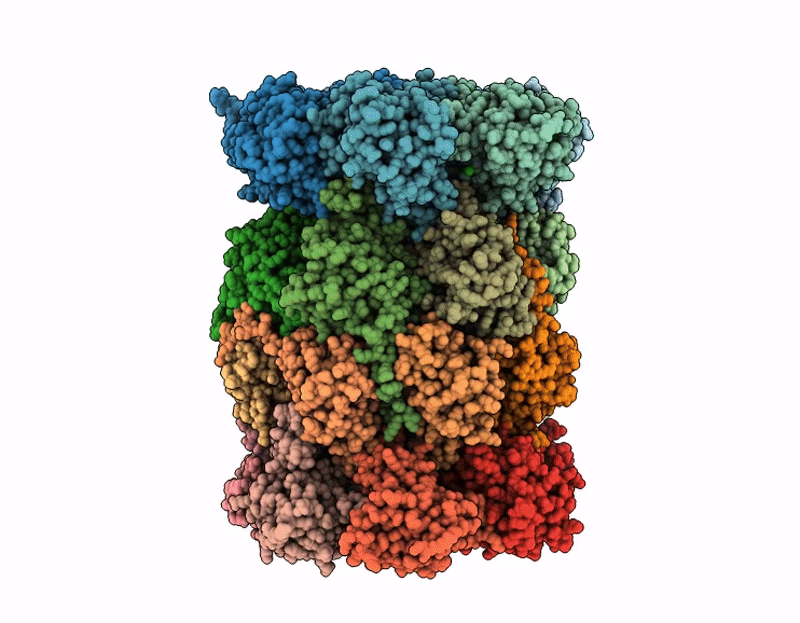 9QD2 image