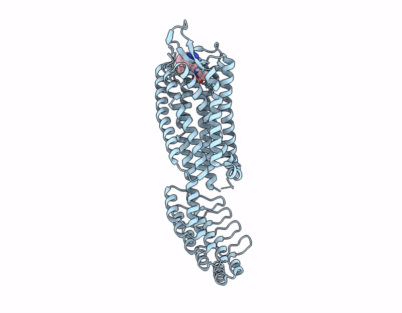9QD4 image