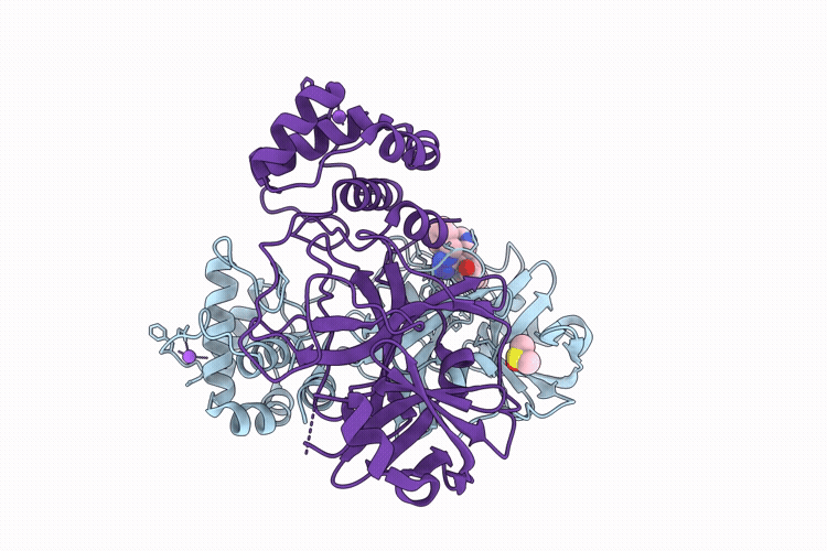 9QD5 image