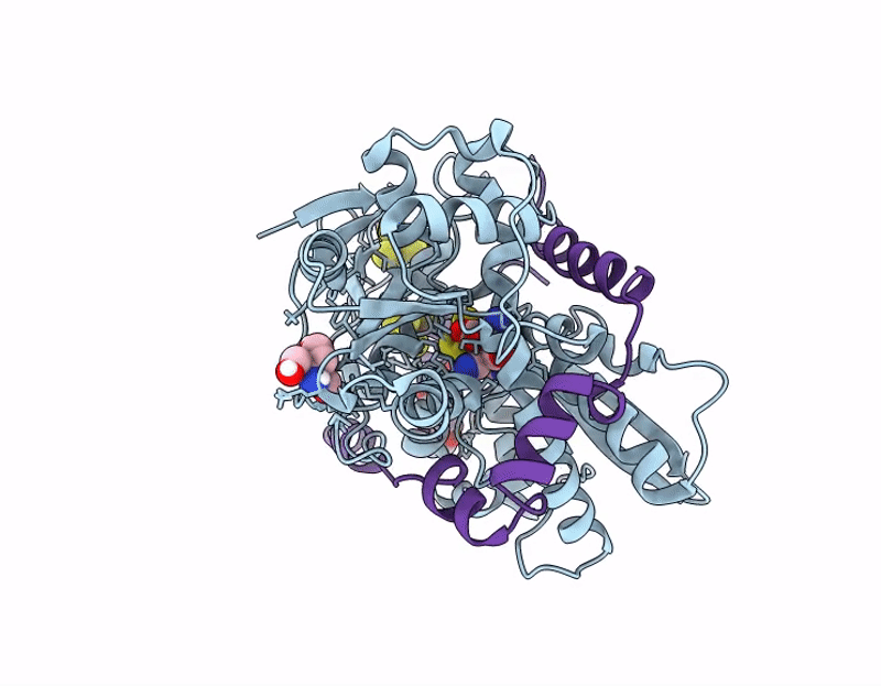 9QD6 image