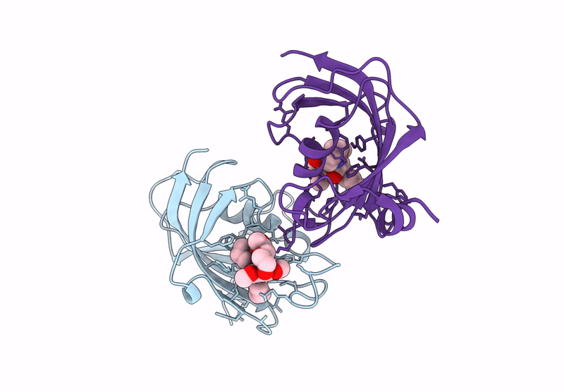9QD8 image