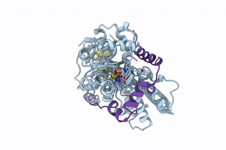 9QDD image