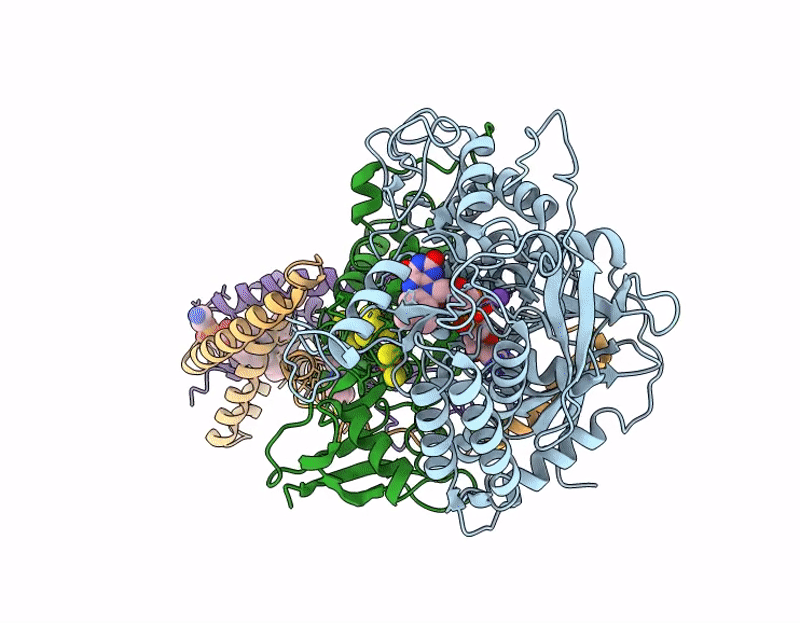 9QDM image