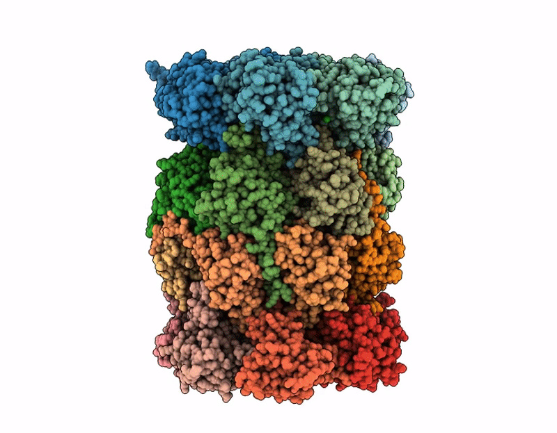 9QDS image
