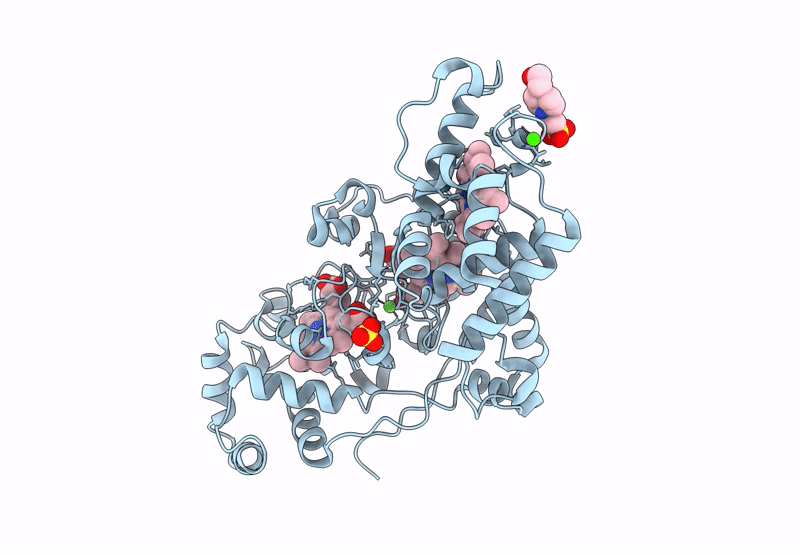 9QDT image