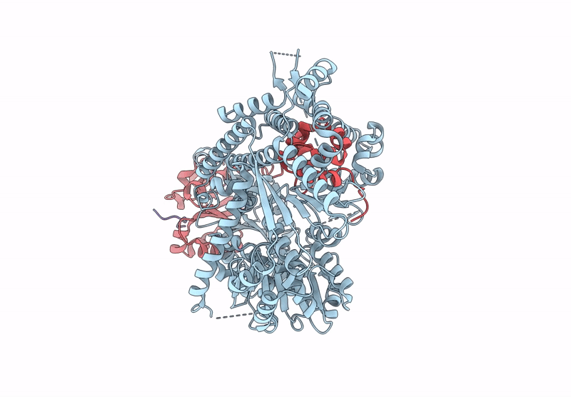 9QEC image