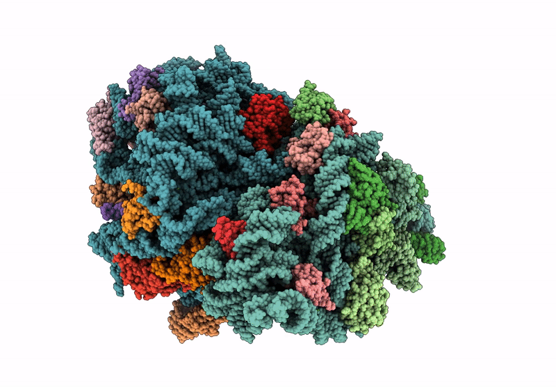 9QEG image