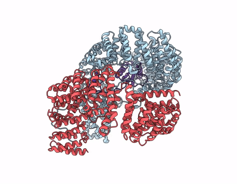 9QEJ image