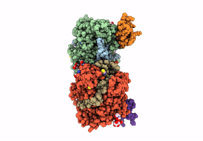 9QEX image