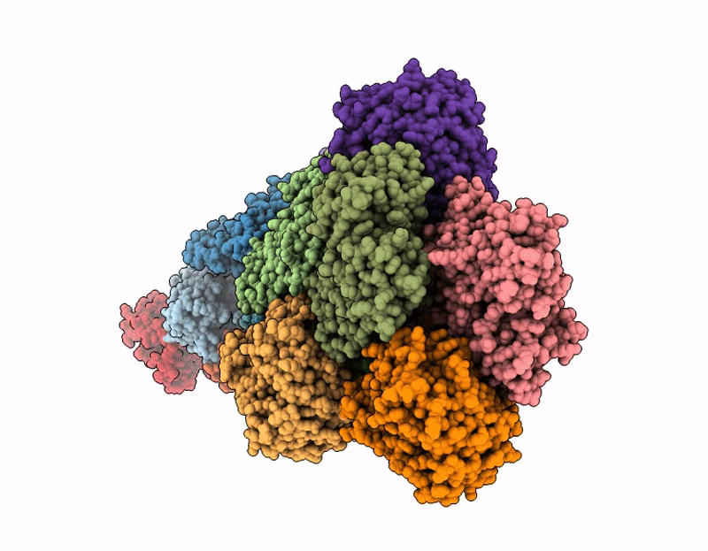 9QFG image