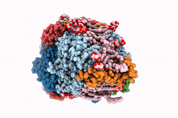 9QFP image