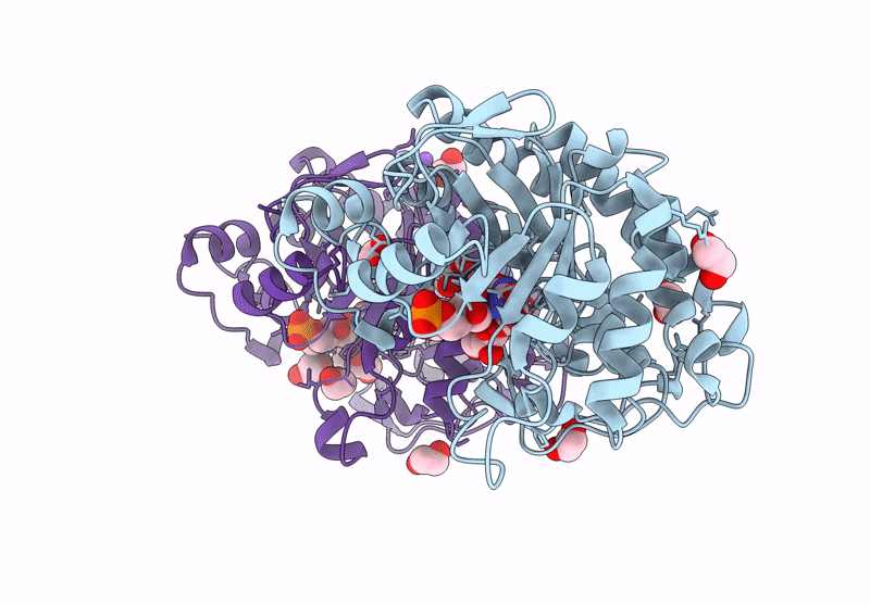 9QGB image