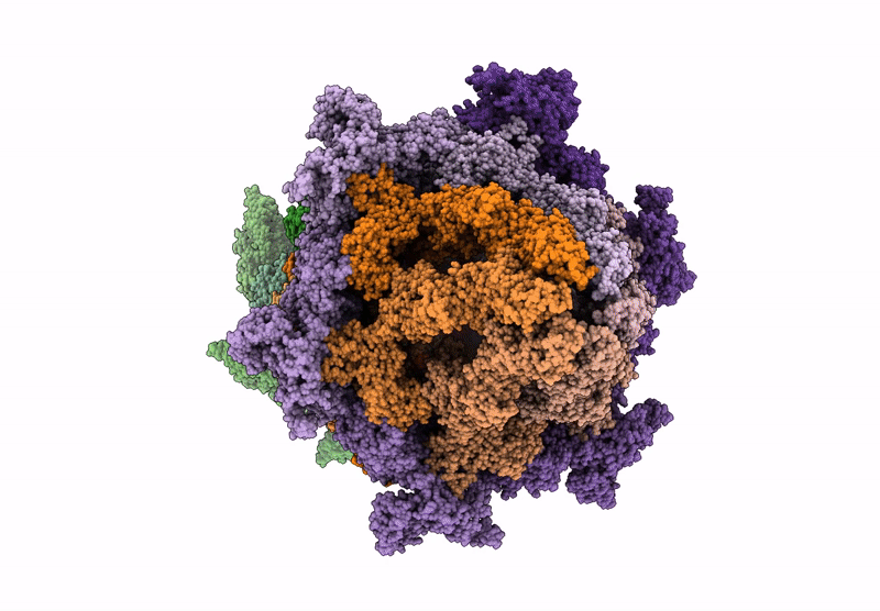 9QGL image