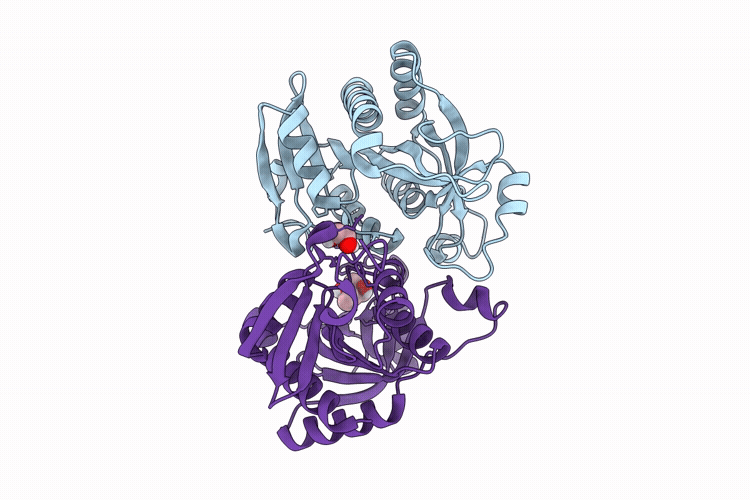 9QH2 image